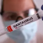 Hantavirus Outbreak on Cruise Ship: Could It Become the Next Global Pandemic?