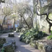 Hidden Rock Garden in North London Feels Like a Miniature Jungle