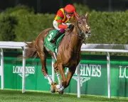 Horse Racing: A Sport of Suffering for Horses, Humans, and Society
