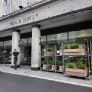 Hostile Greenery: London's Anti-Homeless Architecture Disguised as Planters
