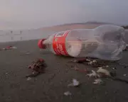 How the Plastic Bottle Cap Became a Parable for EU Regulation Value