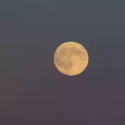 How to See the 'Flower Moon' in London's Skies Tonight