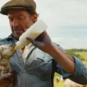 Hugh Jackman's Sheep Film Tops His Rotten Tomatoes Rankings