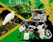 Jamaica Debates Oil Drilling Amid Climate Pledges and Economic Needs