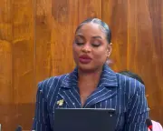 Jamaican MP's Patois Speech in Parliament Ignites Postcolonial Language Debate