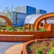 King's College Hospital Opens UK's First Rooftop Garden for ICU Patients