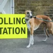 Local elections: 'Meaningless promises' fuel voter apathy, readers say