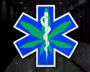 Medical Cannabis in UK: Two Mothers' Fight and the Privatization of Hope
