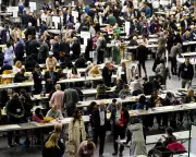 Minority Groups Brace for Racism Surge After Reform UK Election Gains