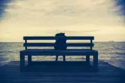 Modern Life's Hidden Drivers of Chronic Stress Exposed