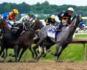 Napoleon Solo Wins 151st Preakness Stakes at Laurel Park
