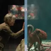 Netflix's 'Remarkably Bright Creatures' Leaves Viewers in Tears