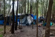 Outrage in Wagga Wagga After Newborn Found Dead at Homeless Camp
