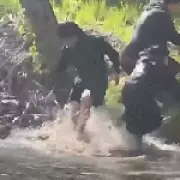 Rabid Beaver Bites Boy, 8; Family Throws Rodent Back Into Lake