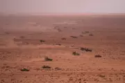 Remains of Second US Soldier Recovered After Morocco Cliff Fall During African Lion Exercise