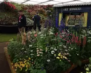 RHS Faces Conservative Backlash Over Peat-Free Compost and Sponsorships