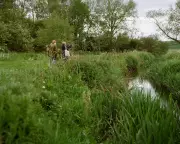 River Mease Restoration: From Straighted Waterway to Wildlife Haven