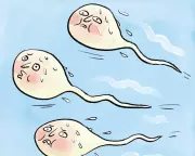 Saunas and Sperm Count: Separating Fact from Fertility Fiction