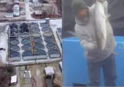Seafood Firm Faces Abuse Allegations in Fish Farming Operations
