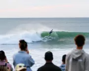 Shark or Sea Lion Bite Interrupts WSL Event in New Zealand