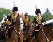 Soldier Dies After Falling from Horse at Royal Windsor Horse Show