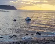 Sperm Whale Carcass Tow Sparks Fury Over Lack of Warnings to Public
