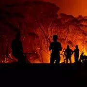 Super El Niño Could Bring Record Heat and UK Weather Chaos