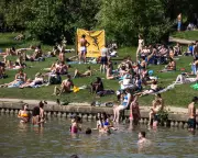 Swimmers Disturb Nesting Birds on Hampstead Heath Wildlife Pond