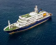 Three Dead in Suspected Hantavirus Outbreak on Cruise Ship in Atlantic
