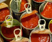 Tinned Tomato Taste Test and Alan Davies Chat: A Fun Food Experiment