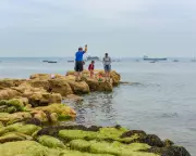Toxic ‘Forever Chemicals’ Found at High Levels Off Southern England Coast