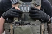 Trump Administration Sues Four States Over ICE Undercover License Plates