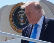 Trump's Outrages 'Priced In' by Mainstream Media, Says Columnist