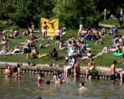 UK Ministers Demand Action After Swimmers Disturb Swans and Cygnets in Hampstead Heath
