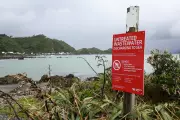 Wellington Faces 6-Month Wait to Halt Sewage Spill After Plant Failure