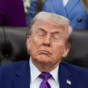 White House Hits Back at Claims Trump 'Fell Asleep' During Meeting