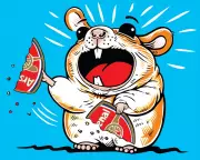 Why Do People Hate Arsenal? The Rage-Hamster Question Answered