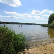 Wild Swimming Spot Near London: Perfect for Heatwave Days