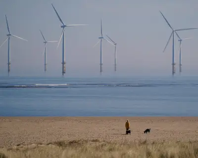 Crown Estate reports £1bn profit for third year on offshore wind boom