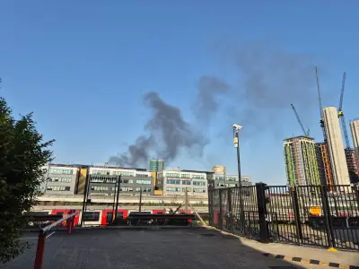 Double-decker bus destroyed by fire in West London bus garage during heatwave