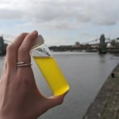 E.coli levels in River Thames exceed safe swimming threshold by 60 times after sewage spill
