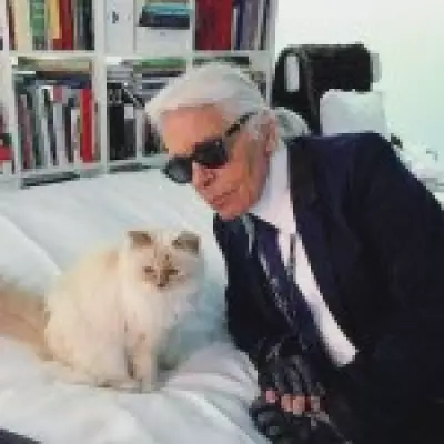 Karl Lagerfeld's Cat Choupette Yet to Receive Inheritance, Caretaker Says