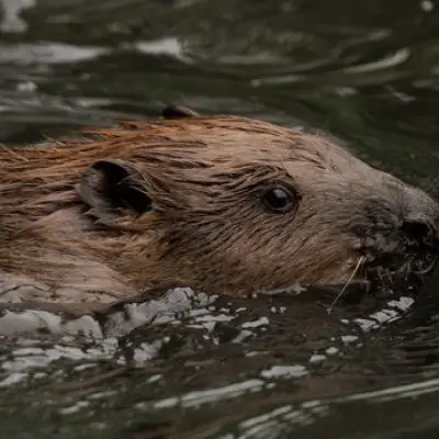 London Beavers End Underground Station Flooding in Just Weeks