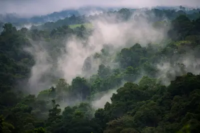 Papua New Guinea faces food shortages as El Niño brings frost and drought