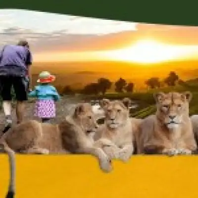 Port Lympne Safari Park offers tickets from £60 for two near London