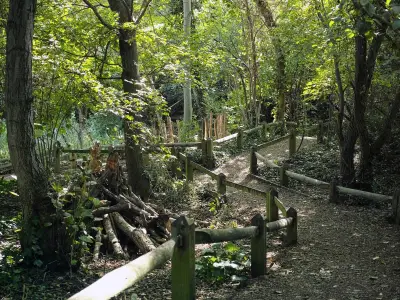 Shaded North London woodland walk minutes from King's Cross Tube station