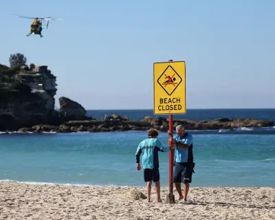 Shark Attack at Sydney's Coogee Beach: How Rare and How to Stay Safe