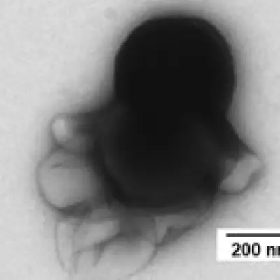 Swiss researchers develop modular nanorobots to kill cancer cells