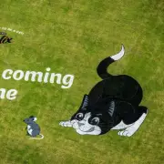 18,800sq ft Felix the Cat Mural Under Heathrow Flightpath Tells Fans 'It's Coming Home'