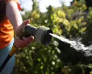 £75m Campaign Urges UK Public to Cut Daily Water Use by 28 Litres